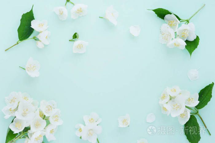 浅蓝色背景下的茉莉花花框架