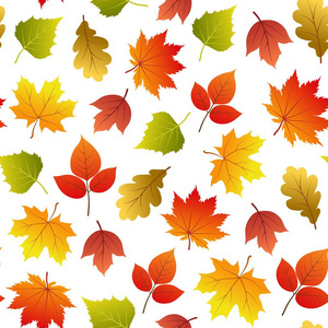 矢量无缝模式与秋天叶子