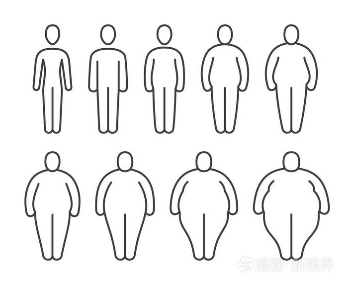 人体的不同比例.肥胖分类矢量线图标