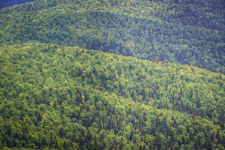 鸟瞰从 Wetlina 草甸, Bieszczady 山在波兰的足迹