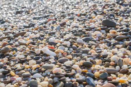 夏日海边的海石