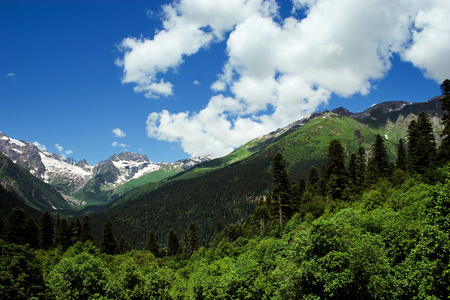 高加索山脉。区域 dombay