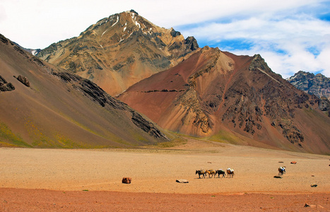 在远足徒步旅行，阿根廷，南美洲的安第斯山风景