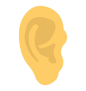 人体听觉器官, 人耳