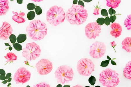 在白色背景下的粉红色玫瑰和花瓣的框架。平躺, 顶部视图。粉红色花朵图案