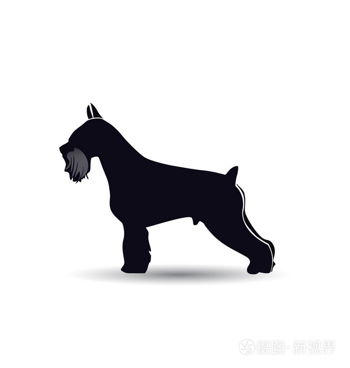 雪纳瑞狗剪影矢量