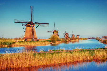 从鹿特丹运河通往荷兰风车的道路。荷兰。荷兰