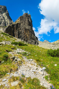 斯洛伐克5湖流域 Tatra 山脉的夏季景观