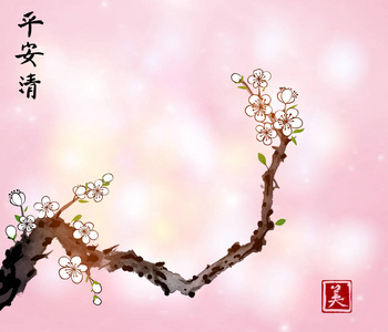 盛开的樱花樱花树分支