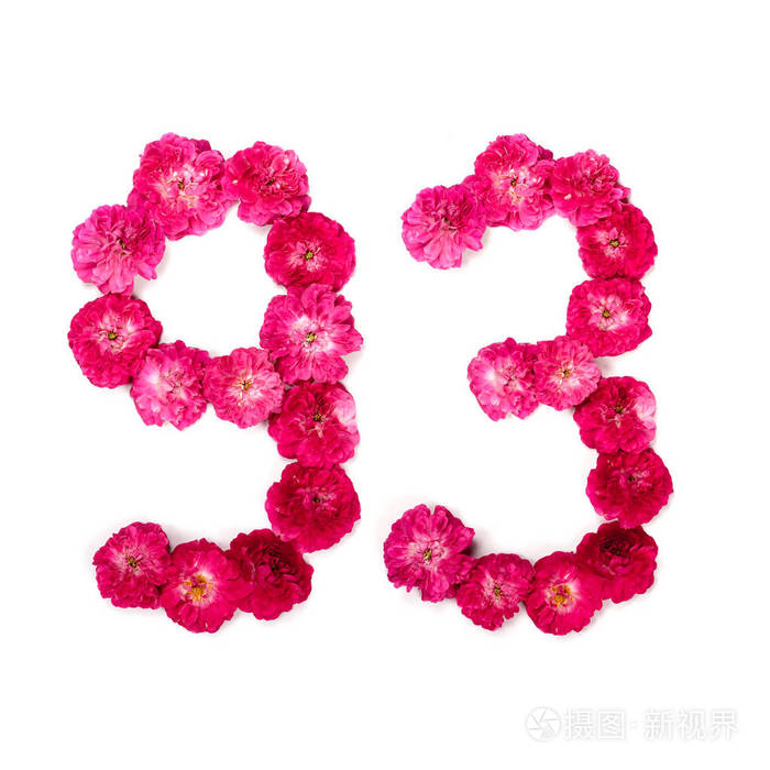 数字93从红色和粉红色的玫瑰的花在白色背景.用于设计