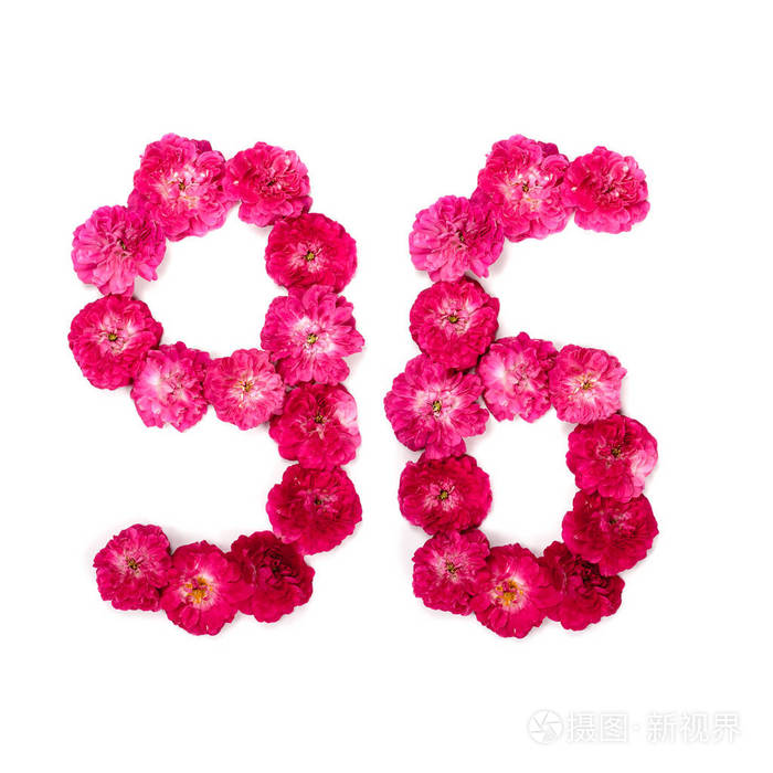 96从红色和粉红色的玫瑰在白色背景的花用于设计的排版元素花数字日期