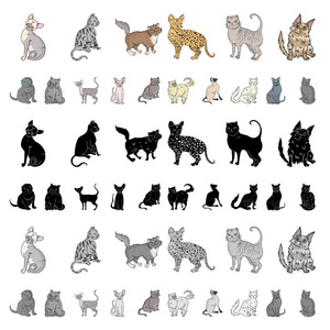 品种的猫卡通图标集收集设计。宠物猫矢量符号股票网页插图