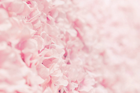 粉红色假花, 背景, 纹理