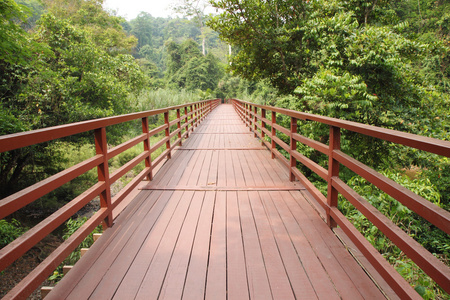 桥接至丛林中，泰国