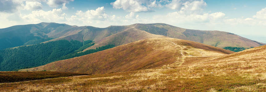 Borzhavsky 山脉的美丽景色, 乌克兰。夏日阳光明媚的秋山全景