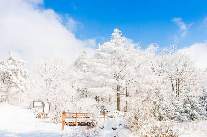 冬季在山上的雪在汉城的景观 所以