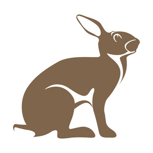 兔子兔矢量插画平面样式剖面