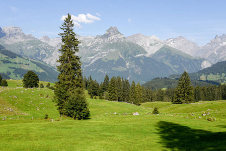 恩格尔伯格在瑞士的乡村景色