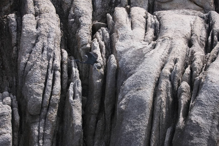 泰国，koh 南园 南园岛，cormoran 岛的岩石上