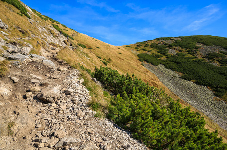 从 Hala Kondratowa 山谷到 Kopa Kondracka 和 Giewont 在秋季, Tatra 山脉, 波兰