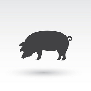 猪上背景孤立的图标。现代平象形标志图