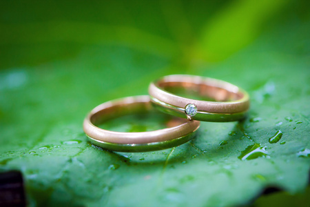 在一片叶子上的两个结婚戒指