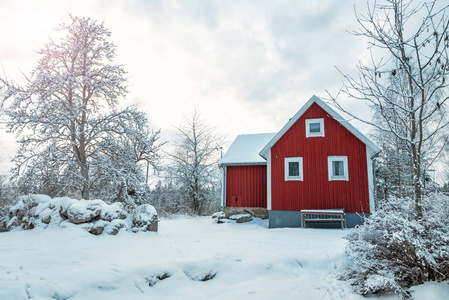 冬日风光的瑞典田园乡村