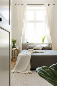 垂直视图成一个阳光明媚的和谐卧室内部与一张床放置在一个明亮的大窗口背景。真实照片