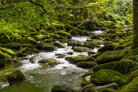 山区河流