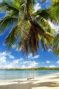 在海滩上 NananuiRa 岛，斐济秋千绳
