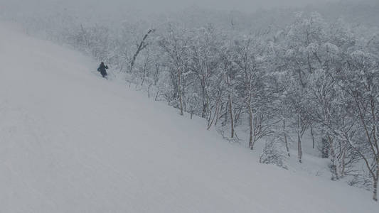 雪林滑雪深粉