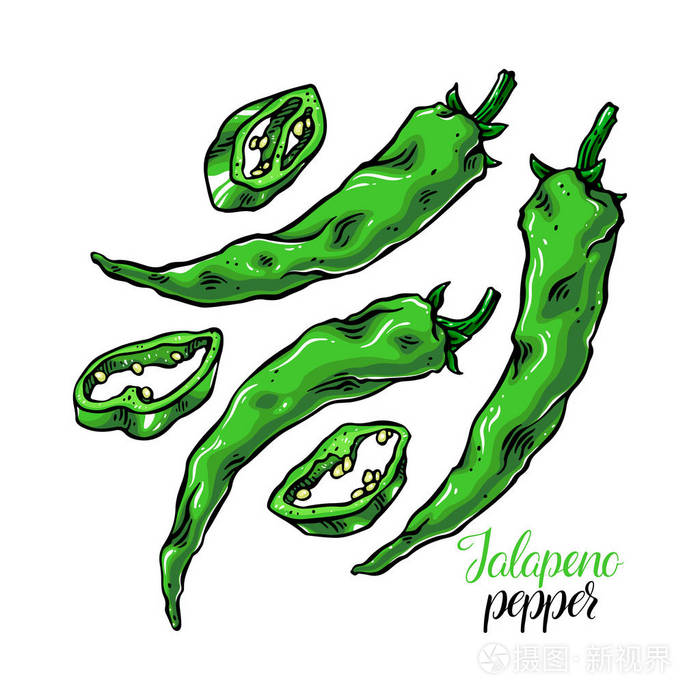 一组可爱的墨西哥辣椒.手绘插图