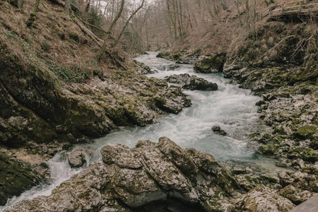 流动的河。自然级联。Vintgar 峡谷, 斯洛文尼亚