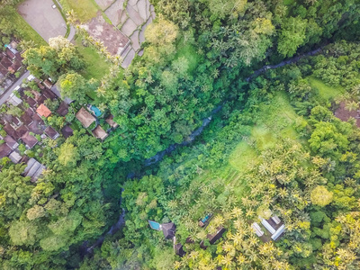 柔和和明亮的颜色的照片, 河流, 村庄。巴厘岛的乌布丛林。从无人机上鸟瞰图