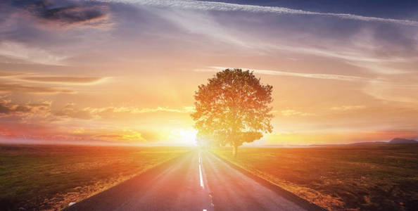梦幻般的景观沥青路和孤独的树日落。美丽的橙色天空