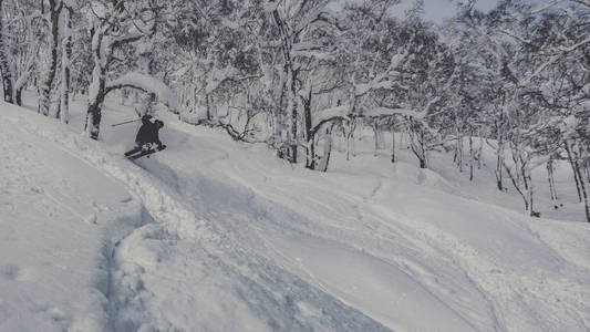 雪林滑雪深粉