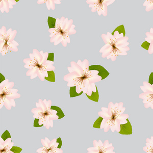 春天的樱花。与日本的樱花的无缝模式。在灰色的背景上的粉红色花朵。Romanticvector 图
