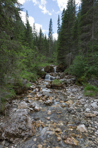 山溪与白色纯净的水和石头在树之间