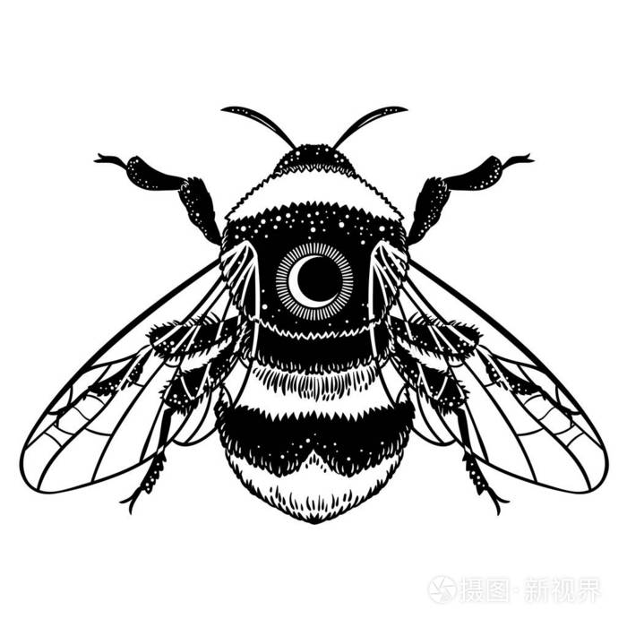 大黄蜂手画向量例证.蜜蜂纹身艺术素描 神秘和深奥的符号