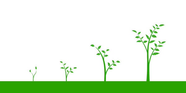 矢量插画的一套绿色图标植物或树 growgrowth 阶段 孤立在白色背景