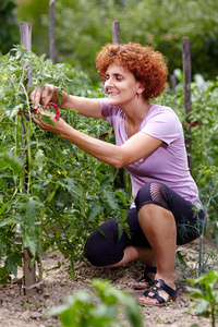 在番茄花园中的女人