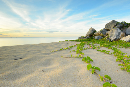 在海滩的风景