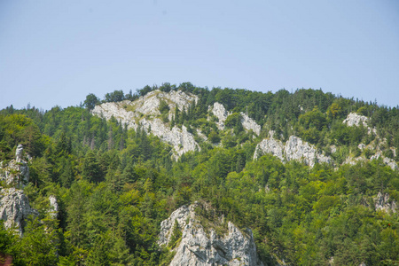 在低 Tatra 地区森林中的悬崖美丽的风景。阳光明媚, 斯洛伐克风光缤纷, 欧洲