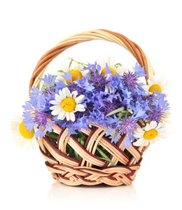 束美丽的菊和 chamomiles 在篮子里上白色, 隔离