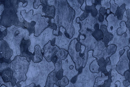 树树皮的蓝色背景纹理。皮肤树皮的树, tr