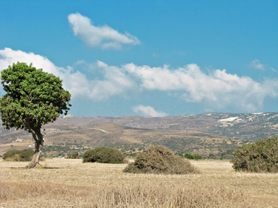 塞浦路斯景观