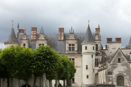 昂布瓦兹城堡.valley，河流卢瓦尔河。法国