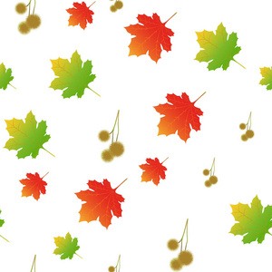 枫叶和果梧桐球秋季无缝模式图片
