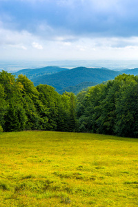 绿色的森林和山谷中喀尔巴阡山的照片