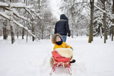 小孩子享受雪橇骑。父亲拉雪橇他可爱的儿子。户外家庭冬季活动